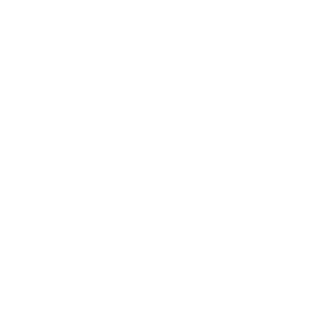 Web Development Client - Portmeirion Logo