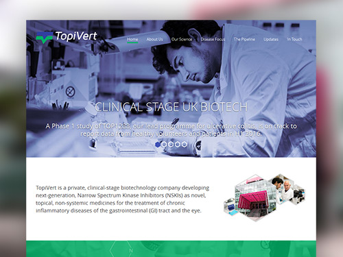 TopiVert Responsive Website