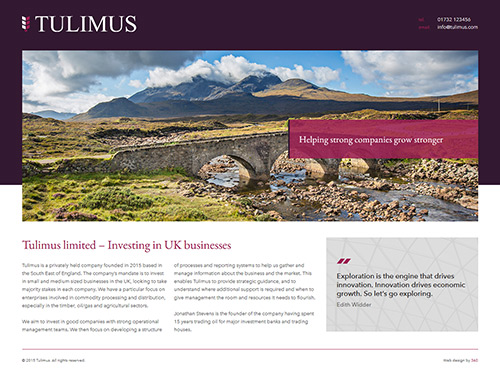 Tulimus Website